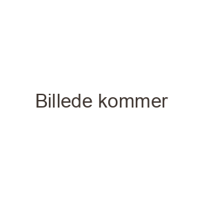 Hagl til Luftgevær
